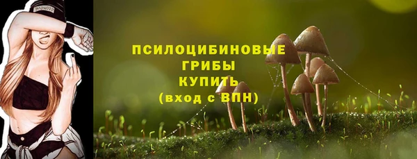 ECSTASY Нязепетровск
