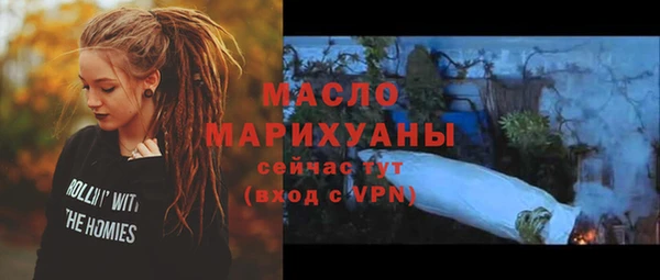 соль ск Няндома