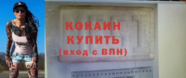 соль ск Няндома