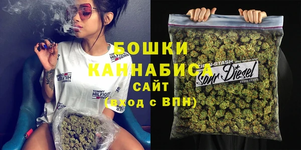 соль ск Няндома