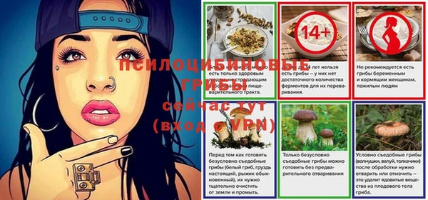 ПСИЛОЦИБИНОВЫЕ ГРИБЫ Остров