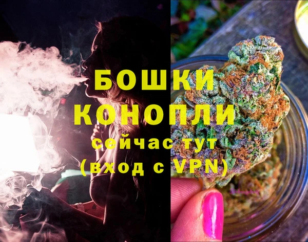 гашик Нягань