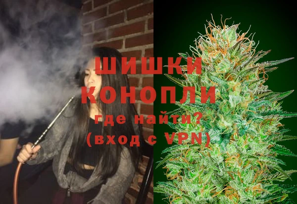 гашик Нягань