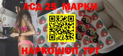 apvp Гатчина
