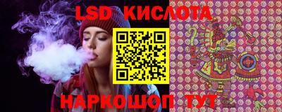 гидропоника Гусев