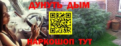 крисы Гай