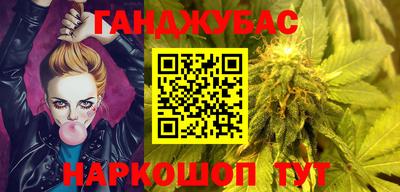 крисы Гай