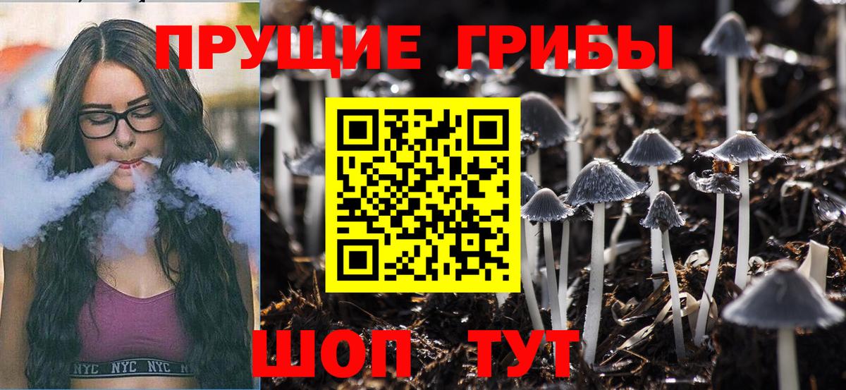 Галлюциногенные грибы ЛСД  Ишим 