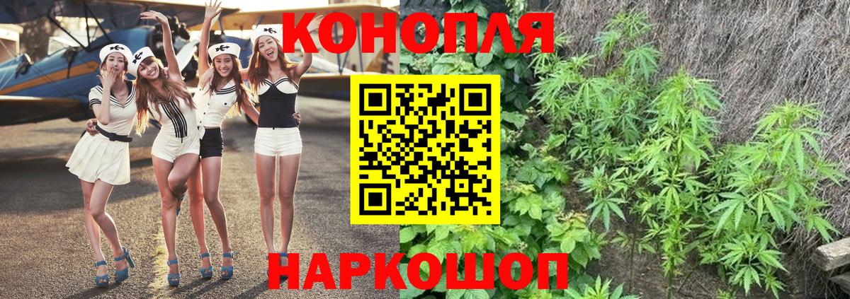 Конопля Bruce Banner Ишим